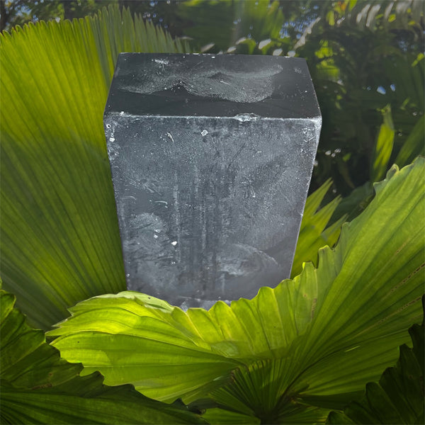 Activated Charcoal and Pumice Hemp Soap