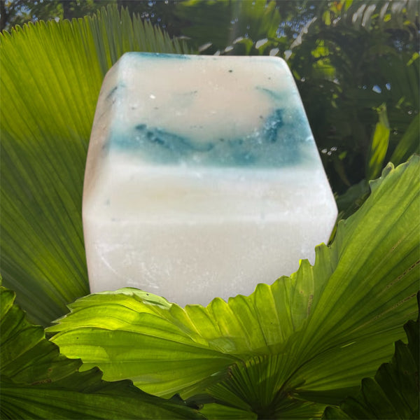 Handmade Hemp Conditioner Bar